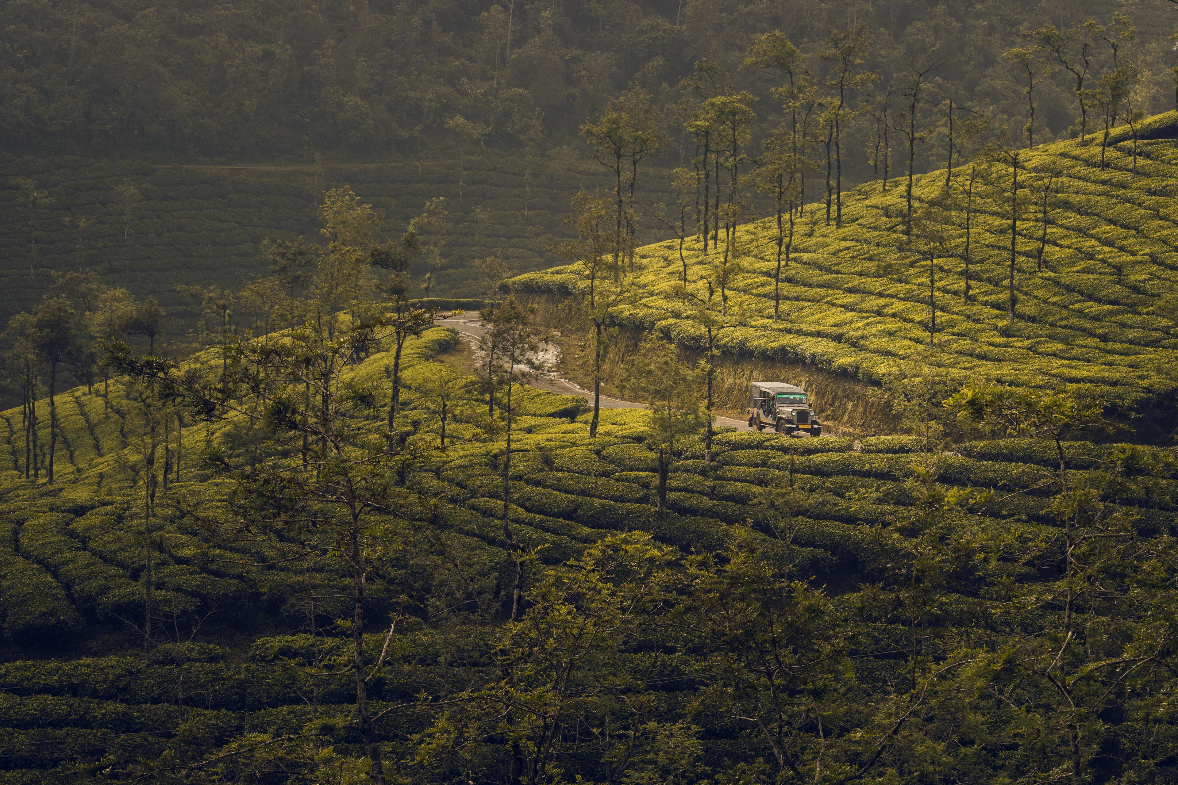 Kerala