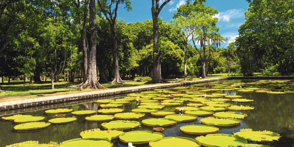 SSR Botanic Garden